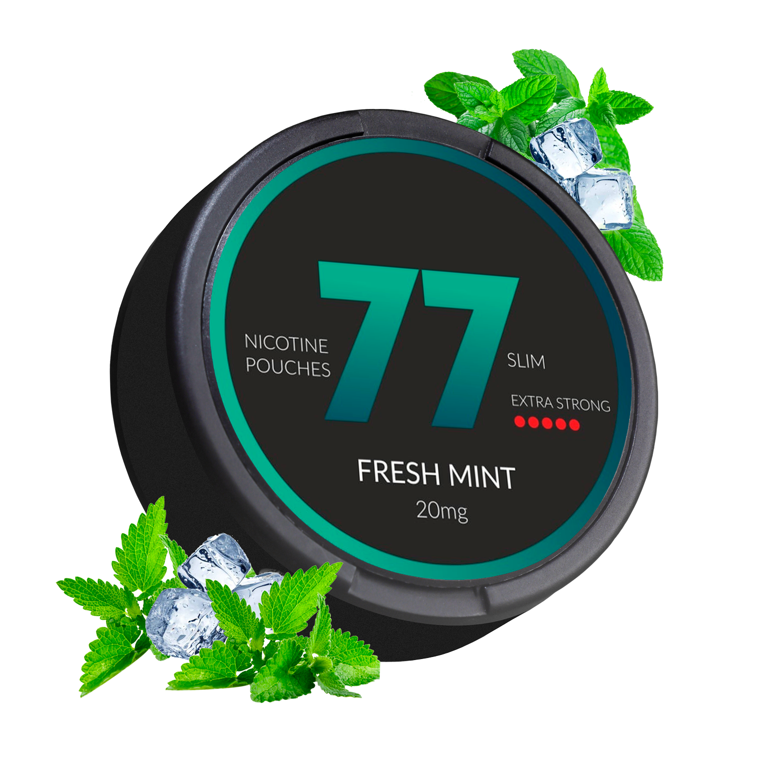 Fresh Mint| 77 DARK