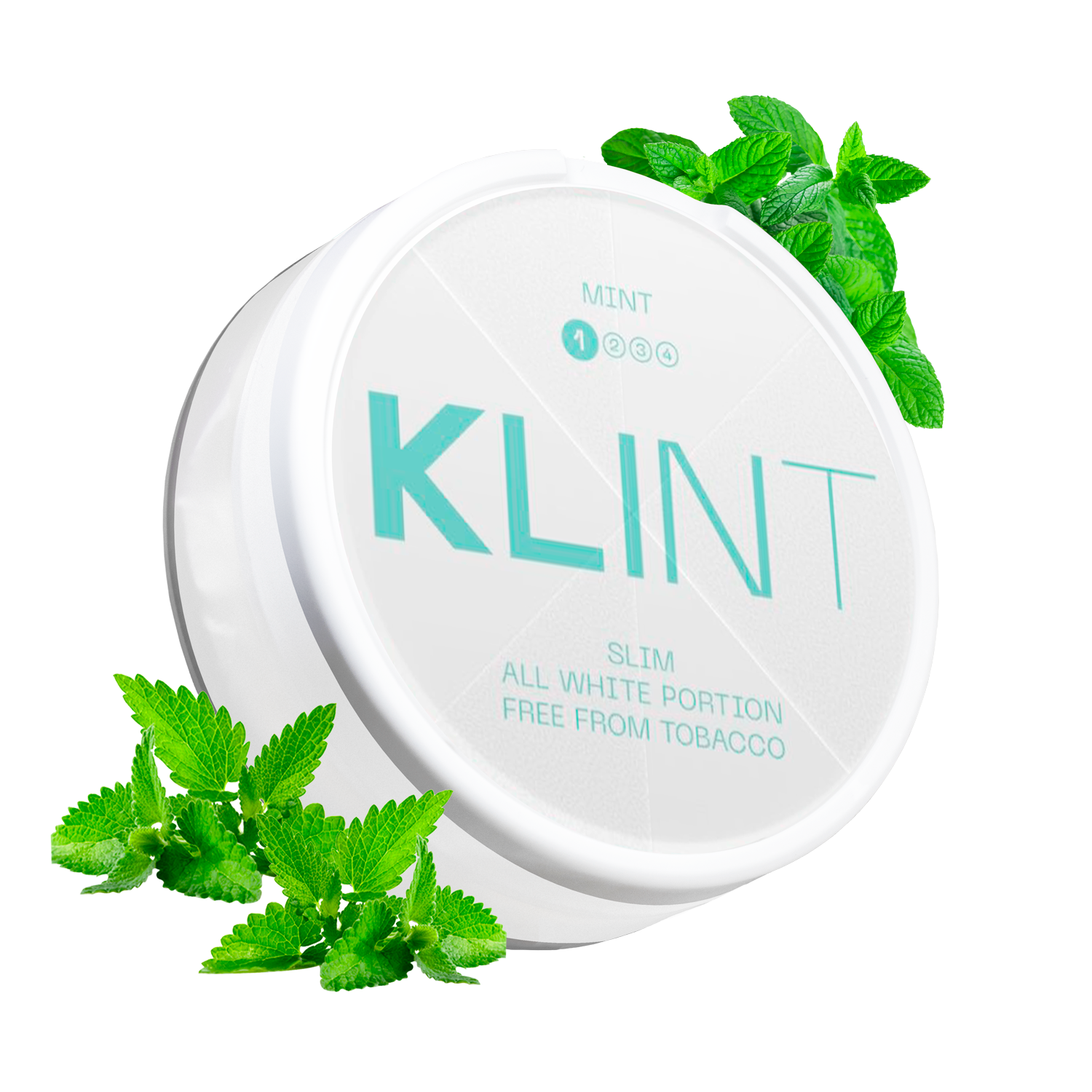 Mint | Klint