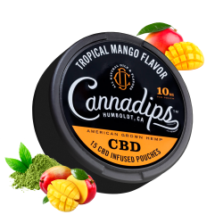 Tropical Mango | Cannadips
