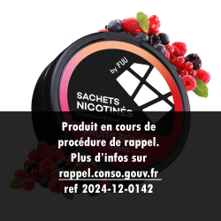 Fruits Rouges | Sachets Nicotinés