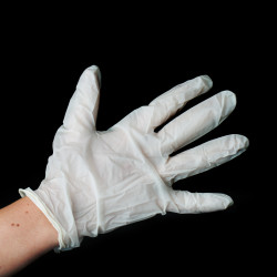 Gloves - 6-pack