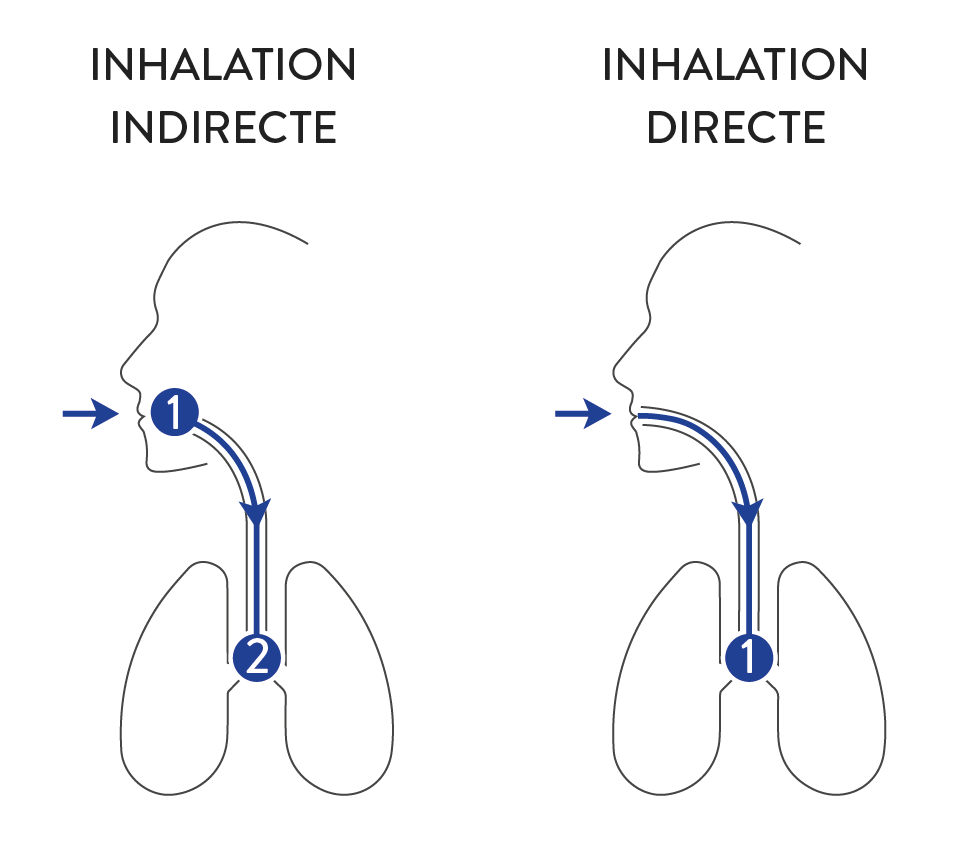 Schéma inhalation directe indirecte.png